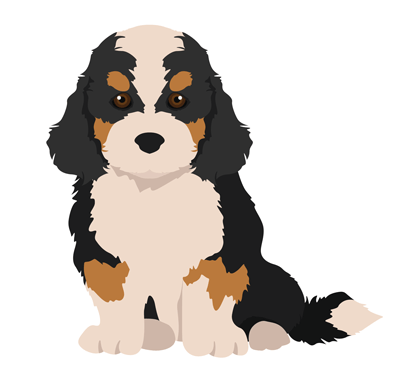 Traditional Tri-Color